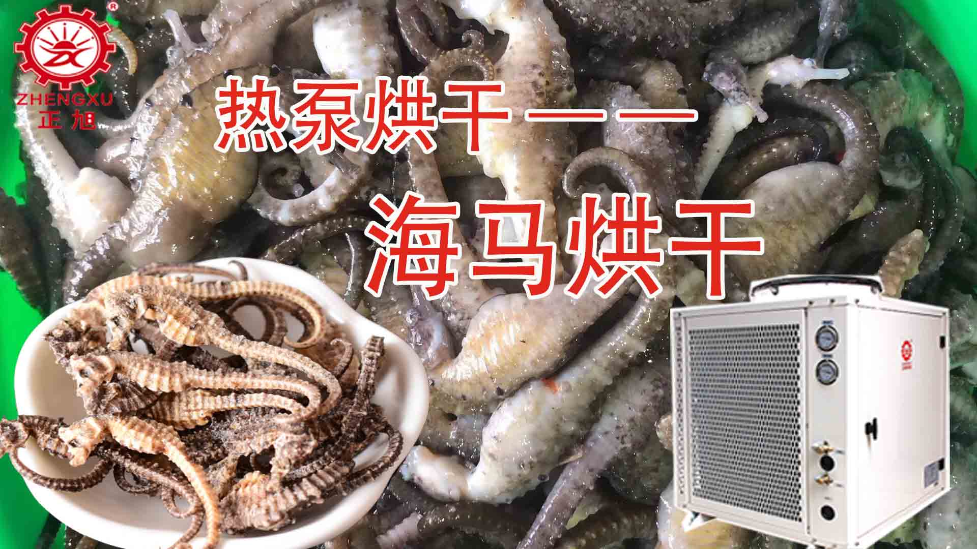 海馬熱泵烘干方法詳解（含研粉、清洗、宰殺、烘干時(shí)間）