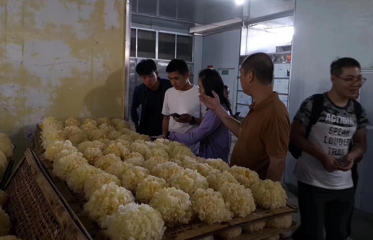 助力熱泵烘干市場 正旭新能源參與國家重點研發(fā)計劃課題 助力熱泵烘干市場 正旭新能源參與國家重點研發(fā)計劃課題