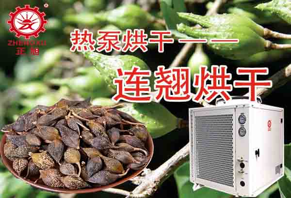 一噸連翹熱泵烘干需要多少錢？「熱泵烘干廠家」為你解答